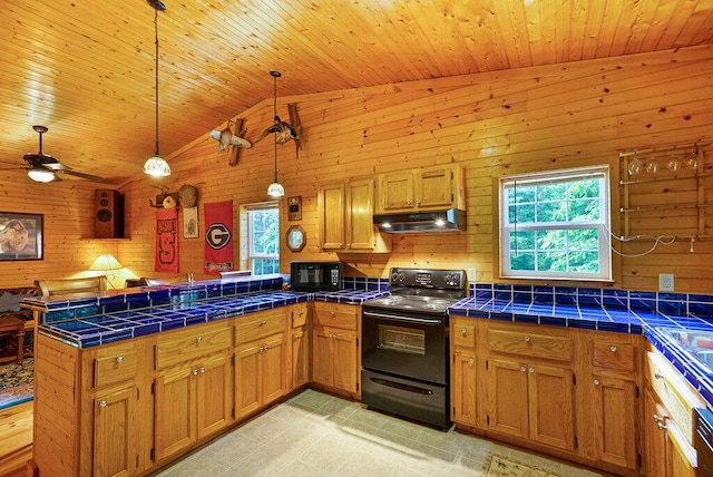 865 Ewing Rd, Spring City, TN 37381 - kitchen with black electric range, under cabinet range hood, a peninsula, wooden walls, and healthy amount of natural light