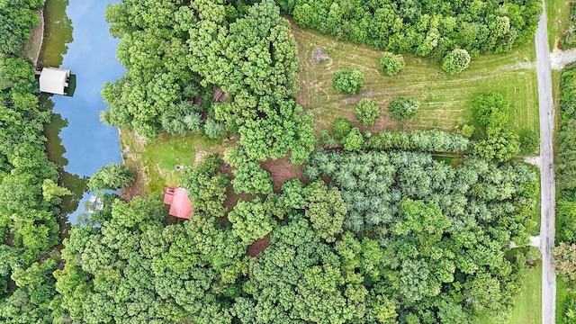 865 Ewing Rd, Spring City, TN 37381 - aerial view of property's location with a nearby body of water