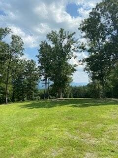 978 Press Pickett Rd, Whitwell TN, 37397 land for sale