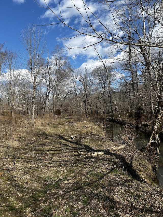 00 No Pone Valley Rd NW, Georgetown, TN 37336 - photo 3
