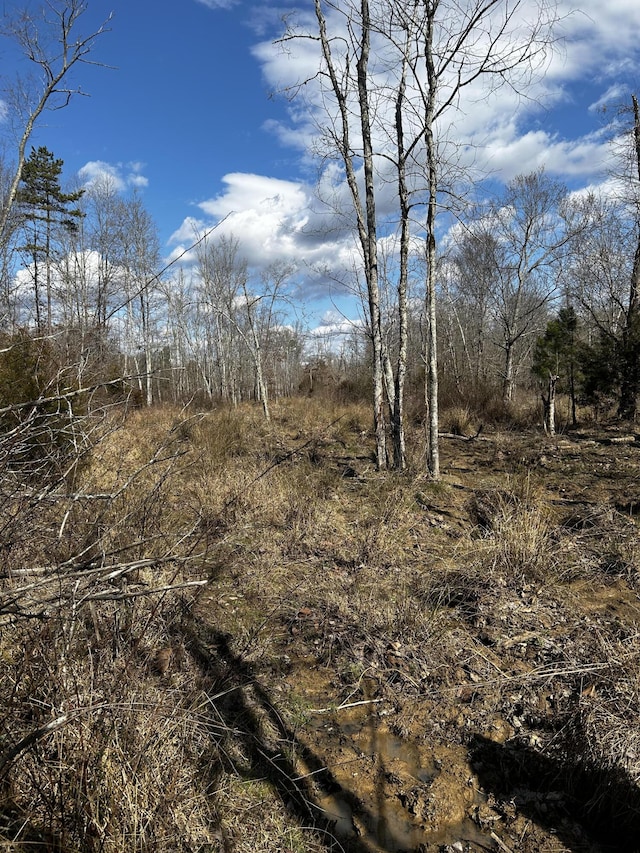 00 No Pone Valley Rd NW, Georgetown, TN 37336 - photo 4