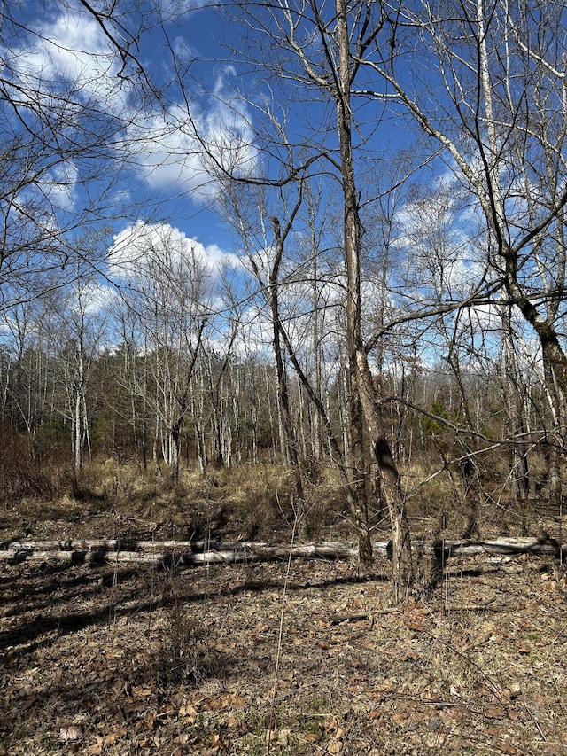 00 No Pone Valley Rd NW, Georgetown, TN 37336 - photo 7