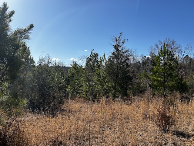 00 No Pone Valley Rd NW, Georgetown, TN 37336 - photo 2