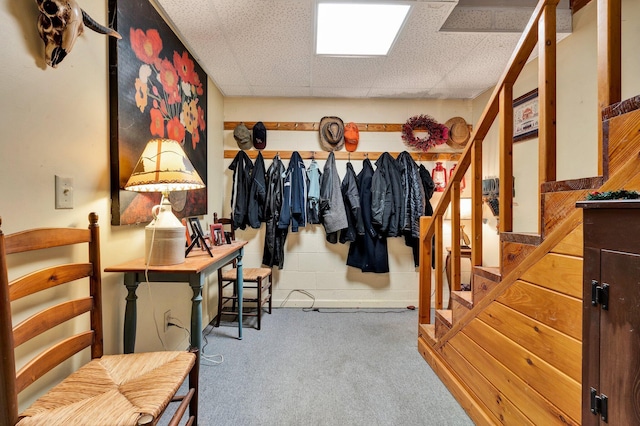 362 River Run Rd, Calhoun, TN 37309 - interior space with a paneled ceiling and carpet