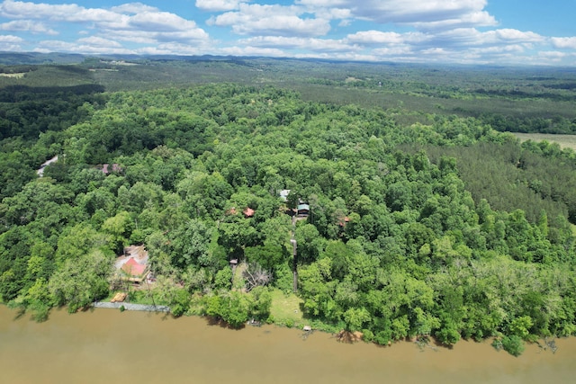 362 River Run Rd, Calhoun, TN 37309 - bird's eye view of a forest and a large body of water