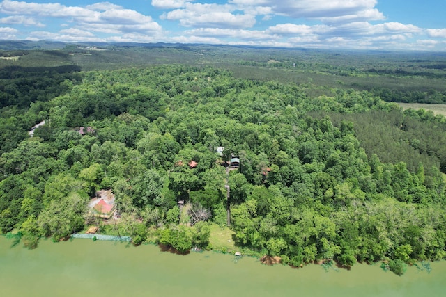 362 River Run Rd, Calhoun, TN 37309 - bird's eye view of a heavily wooded area and a nearby body of water