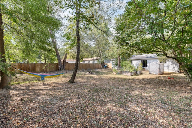 view of yard featuring a shed