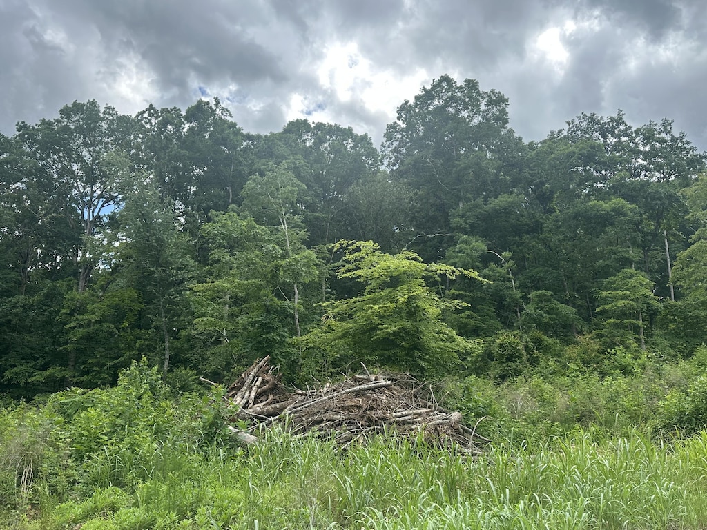 125 County Road 155, Riceville, TN 37370