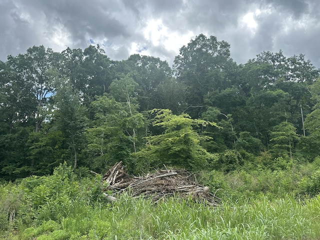 125 County Road 155, Riceville, TN 37370
