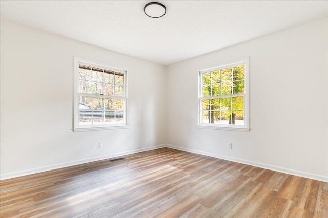 empty room featuring a wealth of natural light and light hardwood / wood-style flooring