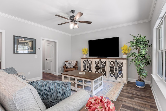 living room with ceiling fan, dark hardwood / wood-style flooring, and ornamental molding