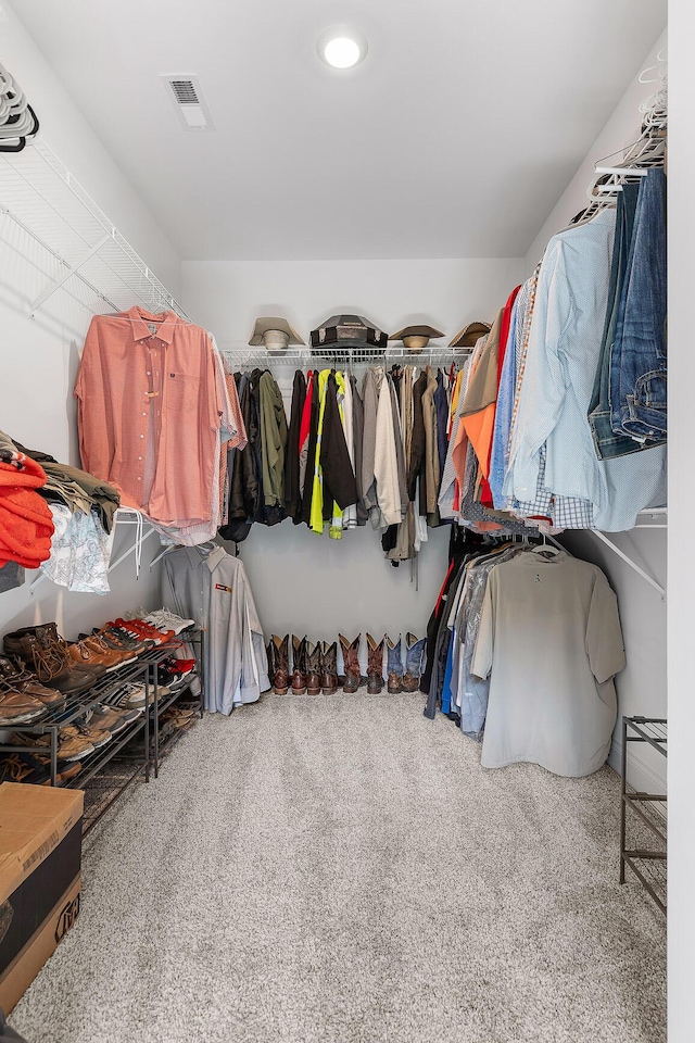 walk in closet featuring carpet floors