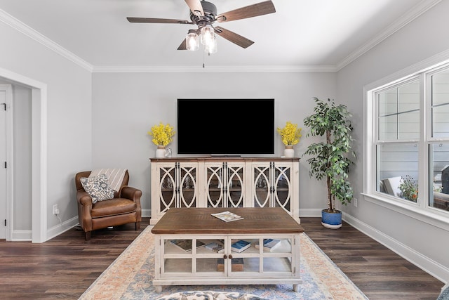 living area featuring ceiling fan, dark wood-type flooring, and ornamental molding