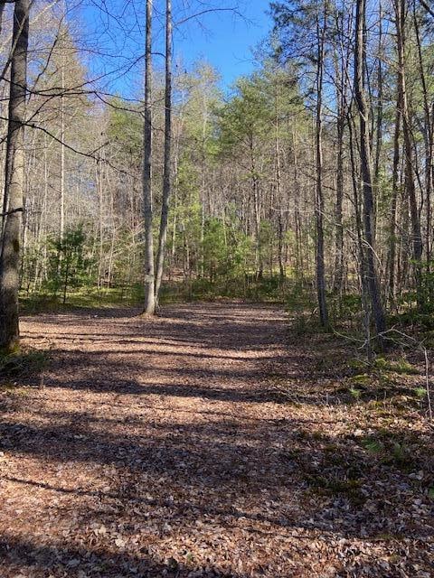 137 Rocky Ford Rd, Turtletown TN, 37391 land for sale