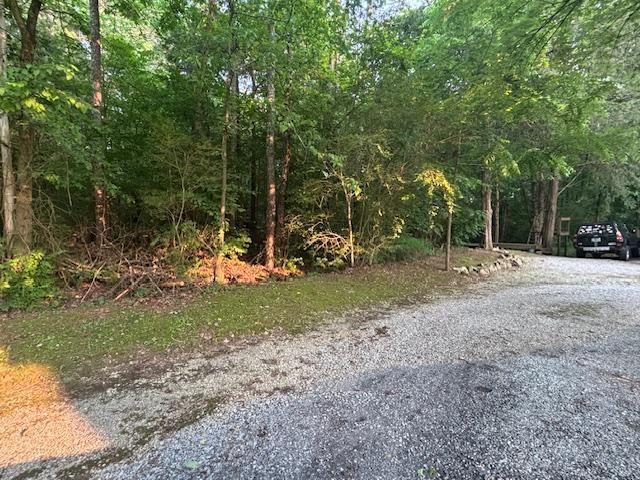 869 Blythewood Rd SW, Cleveland, TN 37311 - photo 11