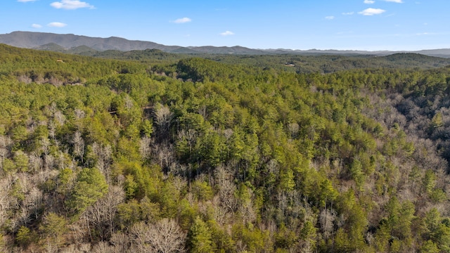 Listing photo 2 for LOT19 Skyline Dr, Turtletown TN 37391