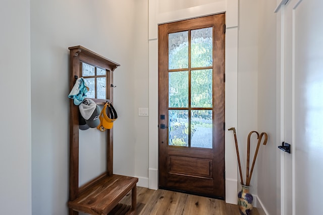 entryway featuring light hardwood / wood-style flooring and plenty of natural light