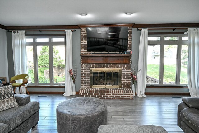 living room featuring a fireplace, wood-type flooring, and plenty of natural light