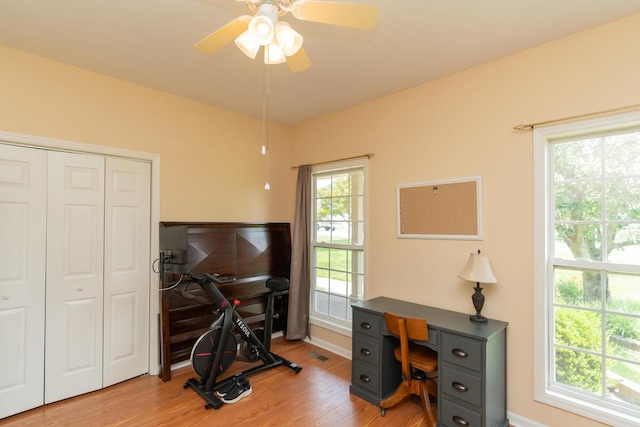 328 Mill Hamlet Rd NW, Charleston, TN 37310 - office featuring ceiling fan, light wood-type flooring, and baseboards