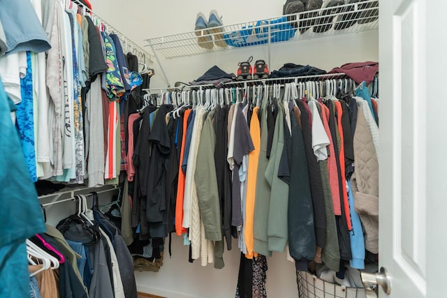 328 Mill Hamlet Rd NW, Charleston, TN 37310 - view of walk in closet