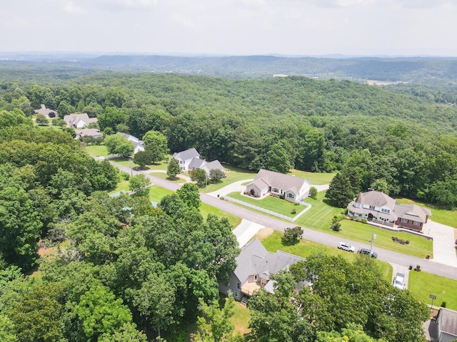 328 Mill Hamlet Rd NW, Charleston, TN 37310 - aerial view of residential area with a heavily wooded area