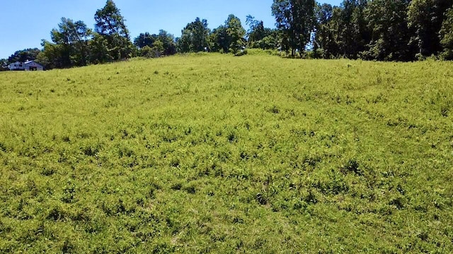908 Earl Broady Rd, Evensville, TN 37332 - photo 1
