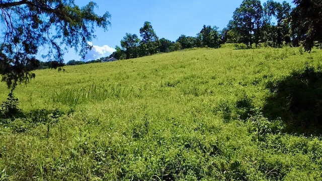 908 Earl Broady Rd, Evensville, TN 37332 - photo 4