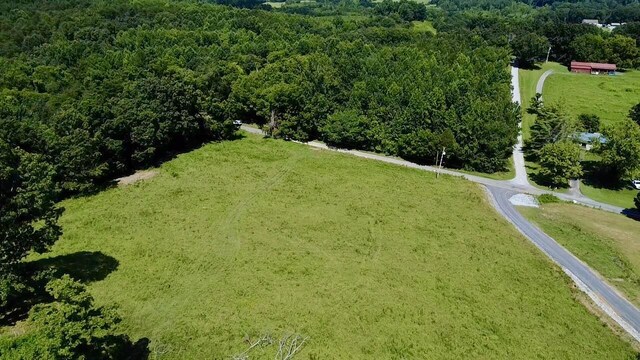 908 Earl Broady Rd, Evensville, TN 37332 - photo 7