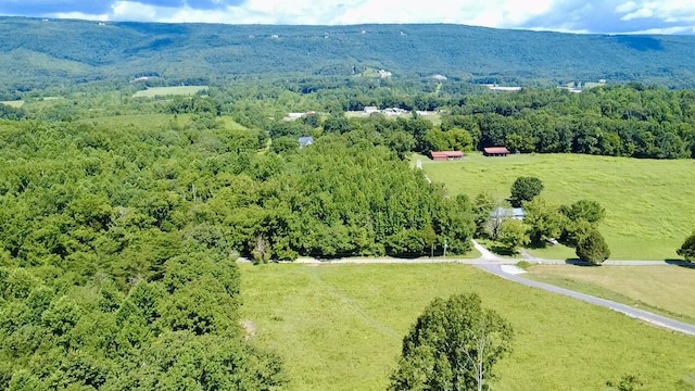 908 Earl Broady Rd, Evensville, TN 37332 - photo 2