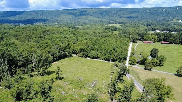 908 Earl Broady Rd, Evensville, TN 37332 - photo 3