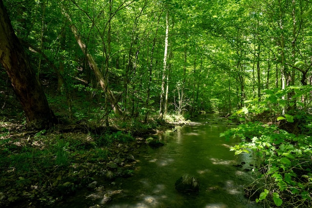 view of nature