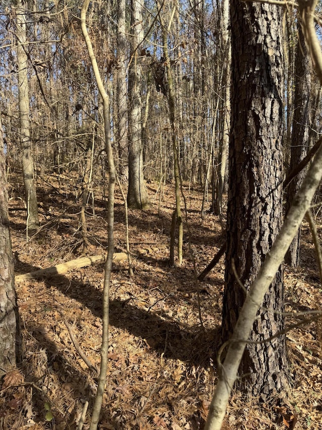 5AC Bates Pike, Old Fort TN, 37362 land for sale