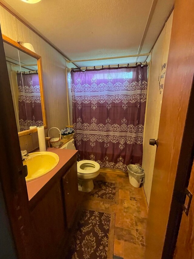 bathroom featuring vanity, toilet, and a textured ceiling