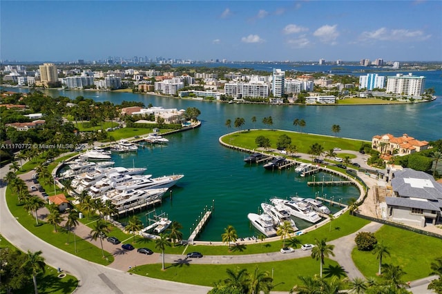 bird's eye view with a water view