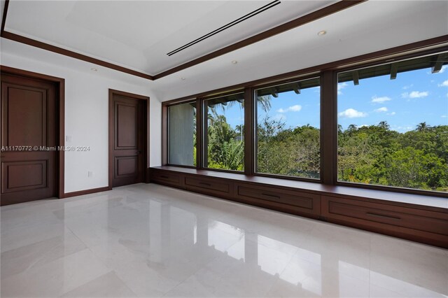 spare room featuring a tray ceiling and a healthy amount of sunlight