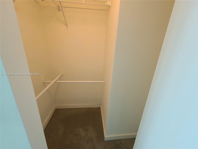 walk in closet featuring dark colored carpet