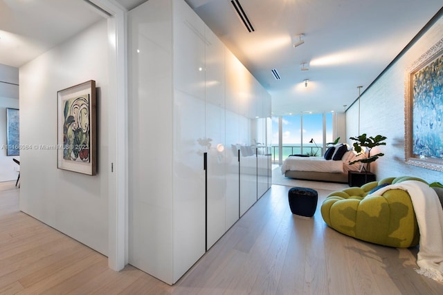 hallway featuring light hardwood / wood-style floors and expansive windows