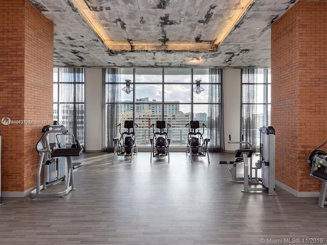 exercise room with dark hardwood / wood-style flooring and a wall of windows