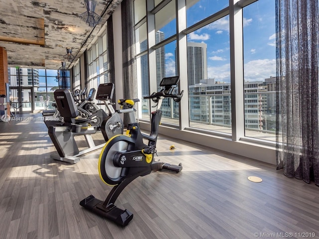 gym featuring expansive windows and light hardwood / wood-style flooring