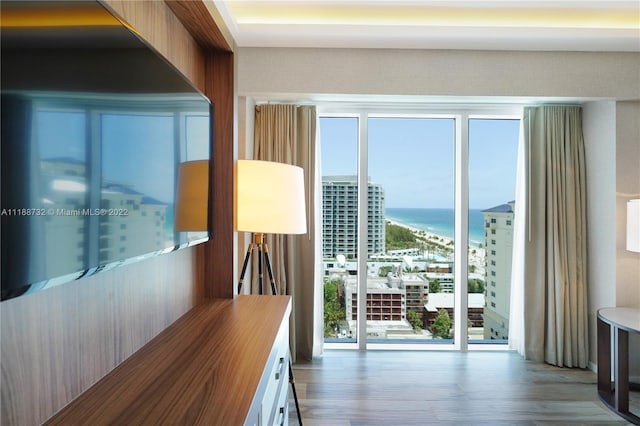 entryway with a water view and hardwood / wood-style floors