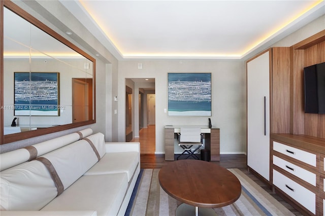 living room featuring dark wood-type flooring