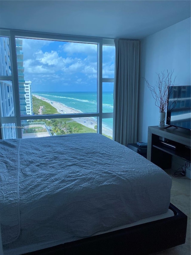 bedroom with multiple windows and a water view