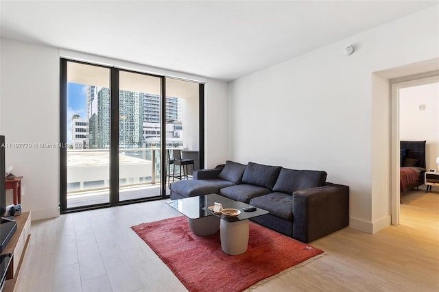 living room with light hardwood / wood-style floors and expansive windows