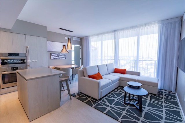 living room featuring light hardwood / wood-style floors