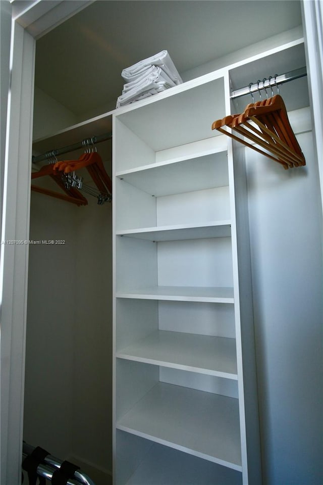 view of closet