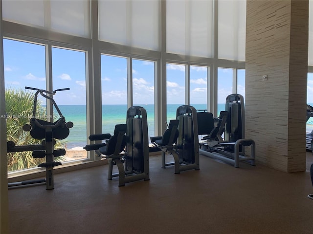 workout area with a water view and a towering ceiling