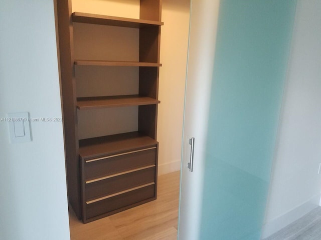 view of closet