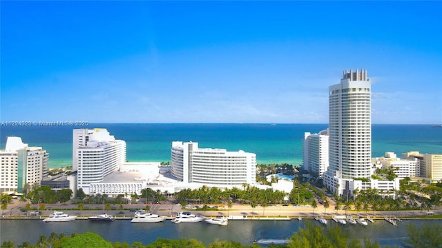 bird's eye view with a water view