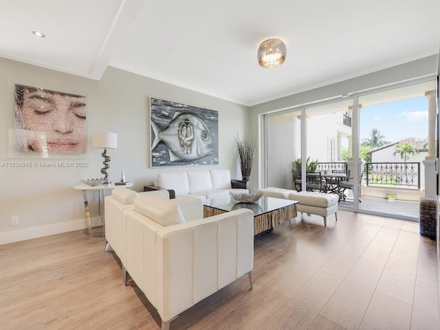 living room with crown molding and light hardwood / wood-style flooring