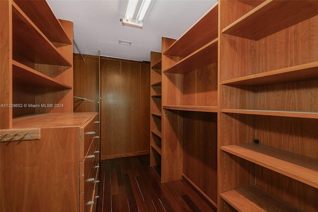 walk in closet with dark wood-type flooring